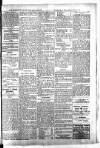 Barmouth & County Advertiser Wednesday 19 December 1894 Page 5