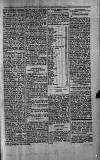 Barmouth & County Advertiser Thursday 09 March 1899 Page 5