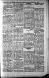 Barmouth & County Advertiser Thursday 13 October 1904 Page 7