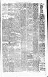 Alderley & Wilmslow Advertiser Friday 25 June 1875 Page 3