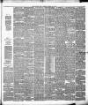 Bradford Weekly Telegraph Saturday 12 July 1884 Page 7