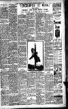 Bradford Weekly Telegraph Saturday 26 October 1901 Page 11