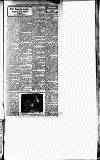 Bradford Weekly Telegraph Friday 22 December 1916 Page 19