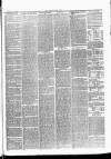 Brecon County Times Saturday 16 June 1866 Page 7