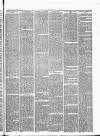 Brecon County Times Saturday 04 August 1866 Page 3