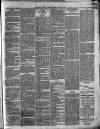Brecon County Times Saturday 05 October 1878 Page 5