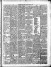 Brecon County Times Saturday 05 February 1876 Page 5