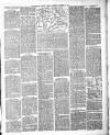 Brecon County Times Saturday 12 October 1878 Page 3