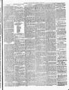 Brecon County Times Saturday 28 June 1879 Page 3