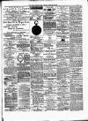 Brecon County Times Saturday 28 February 1880 Page 13