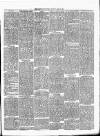 Brecon County Times Saturday 03 April 1880 Page 3