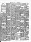 Brecon County Times Saturday 25 December 1880 Page 3