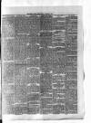 Brecon County Times Friday 05 February 1886 Page 3