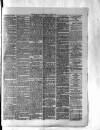 Brecon County Times Friday 06 August 1886 Page 3