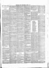 Brecon County Times Friday 22 March 1889 Page 3