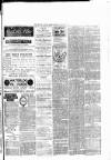 Brecon County Times Friday 09 August 1889 Page 7