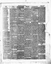 Burton Chronicle Thursday 29 February 1872 Page 6