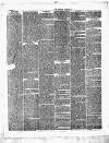 Burton Chronicle Thursday 25 April 1872 Page 3