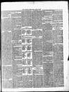 Burton Chronicle Thursday 03 June 1875 Page 5