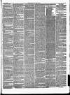 Halifax Guardian Saturday 13 March 1847 Page 7