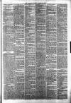 Halifax Guardian Saturday 31 March 1877 Page 3