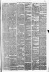 Halifax Guardian Saturday 25 August 1877 Page 3