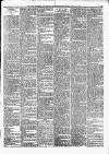 Lynn Advertiser Saturday 01 January 1876 Page 3