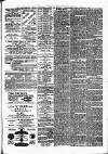 Lynn Advertiser Saturday 24 January 1880 Page 3