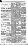 Pontypridd Observer Saturday 17 April 1897 Page 3