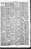 Pontypridd Observer Saturday 18 February 1899 Page 3