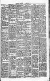 Pontypridd Observer Saturday 01 April 1899 Page 3