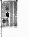 Pontypridd Observer Saturday 04 September 1909 Page 5