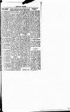 Pontypridd Observer Saturday 22 March 1919 Page 7