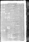 Wakefield Free Press Saturday 17 February 1866 Page 5