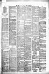 Wakefield Free Press Saturday 20 March 1880 Page 3