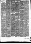 Smethwick Telephone Saturday 21 March 1885 Page 3