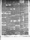 Smethwick Telephone Saturday 02 January 1886 Page 5