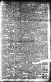 Smethwick Telephone Saturday 17 March 1900 Page 3