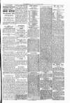 Warrington Evening Post Thursday 13 February 1879 Page 3