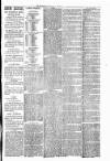 Warrington Evening Post Monday 10 March 1879 Page 3