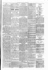Warrington Evening Post Tuesday 08 April 1879 Page 3