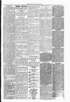 Warrington Evening Post Friday 02 May 1879 Page 3