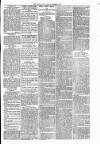 Warrington Evening Post Saturday 08 November 1879 Page 3