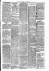 Warrington Evening Post Saturday 06 December 1879 Page 3