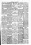 Warrington Evening Post Friday 19 December 1879 Page 3