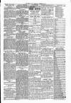 Warrington Evening Post Wednesday 24 December 1879 Page 3