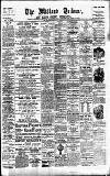 Midland Tribune Saturday 19 January 1895 Page 1