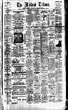 Midland Tribune Saturday 29 June 1895 Page 1