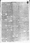 Carlow Sentinel Saturday 19 January 1833 Page 3