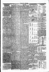 Carlow Sentinel Saturday 10 January 1835 Page 3